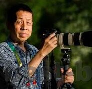 mk体育官网下载-MK体育官网下载与用户体验优化